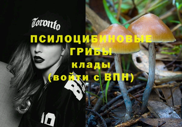 прущий лед Лиски
